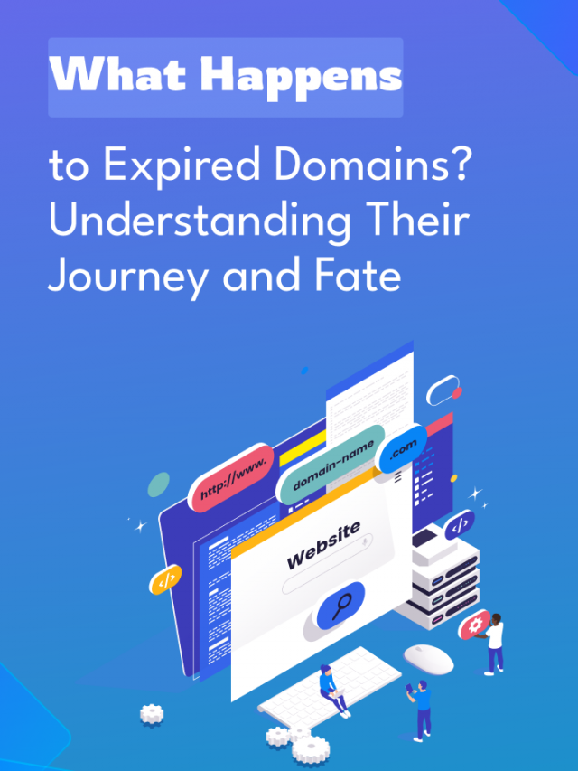 What happens to expired domains?