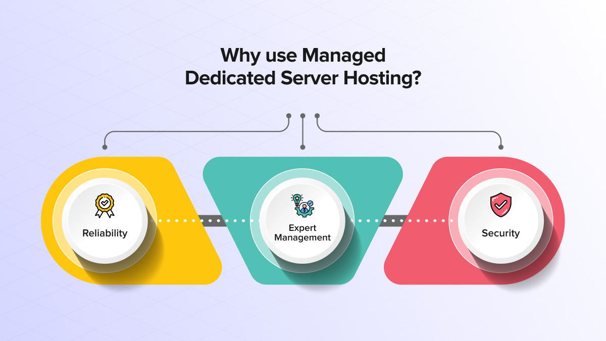 Dedicated Server Hosting