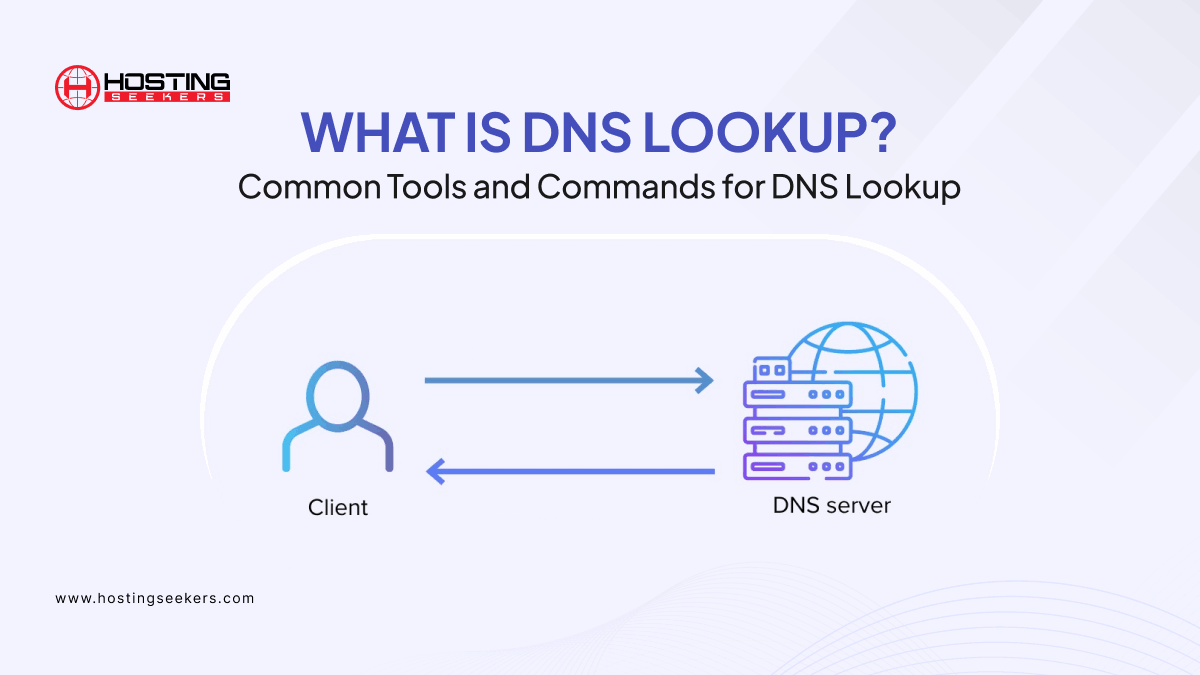 What is DNS Lookup